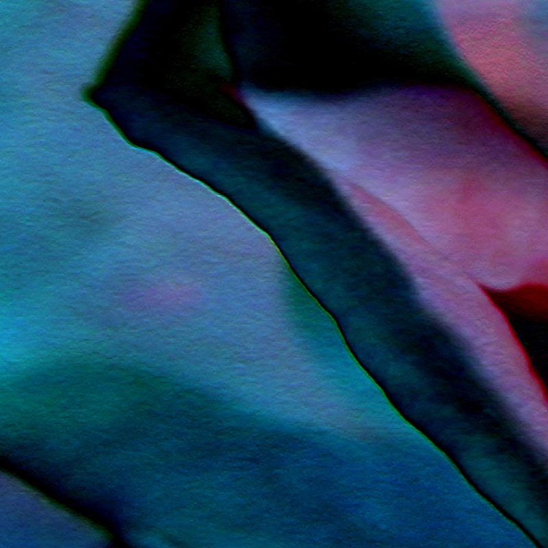 Abstract Flower Art Canvas Print